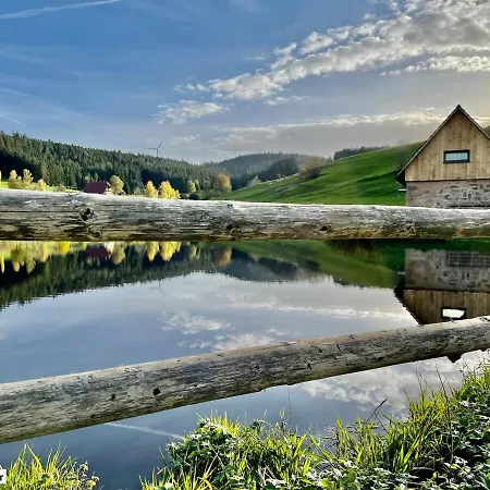 Ferienhaus Im Schwarzwald Am See 