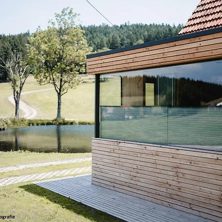 Ferienhaus Im Schwarzwald Am See 