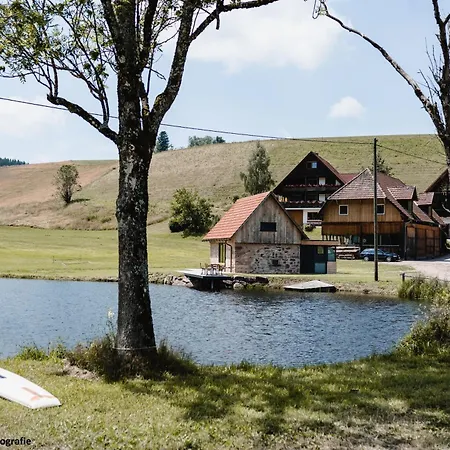 Ferienhaus Im Schwarzwald Am See 